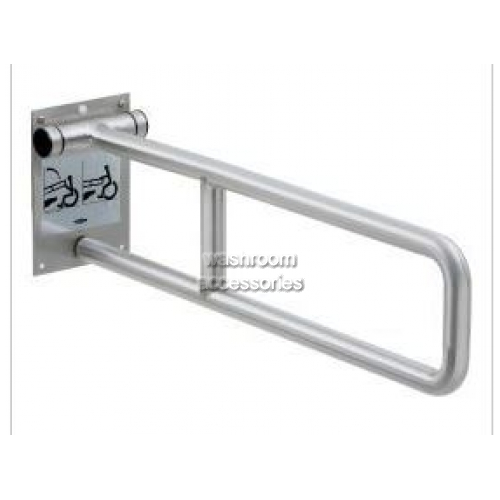 Stainless Steel Swing-Up Grab Bar