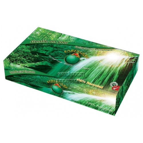 View Facial Tissue 100 Sheet Recycled details.