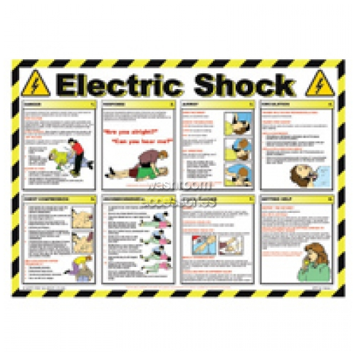 View Workplace Safety Poster - Electric Shock details.