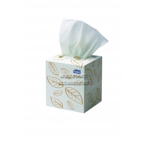 2170301 Facial Tissue Cube Extra Soft 